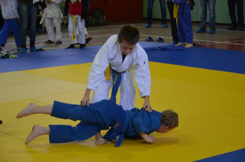 sport v simferopole proydet kubok stolicy po dzyudo 321